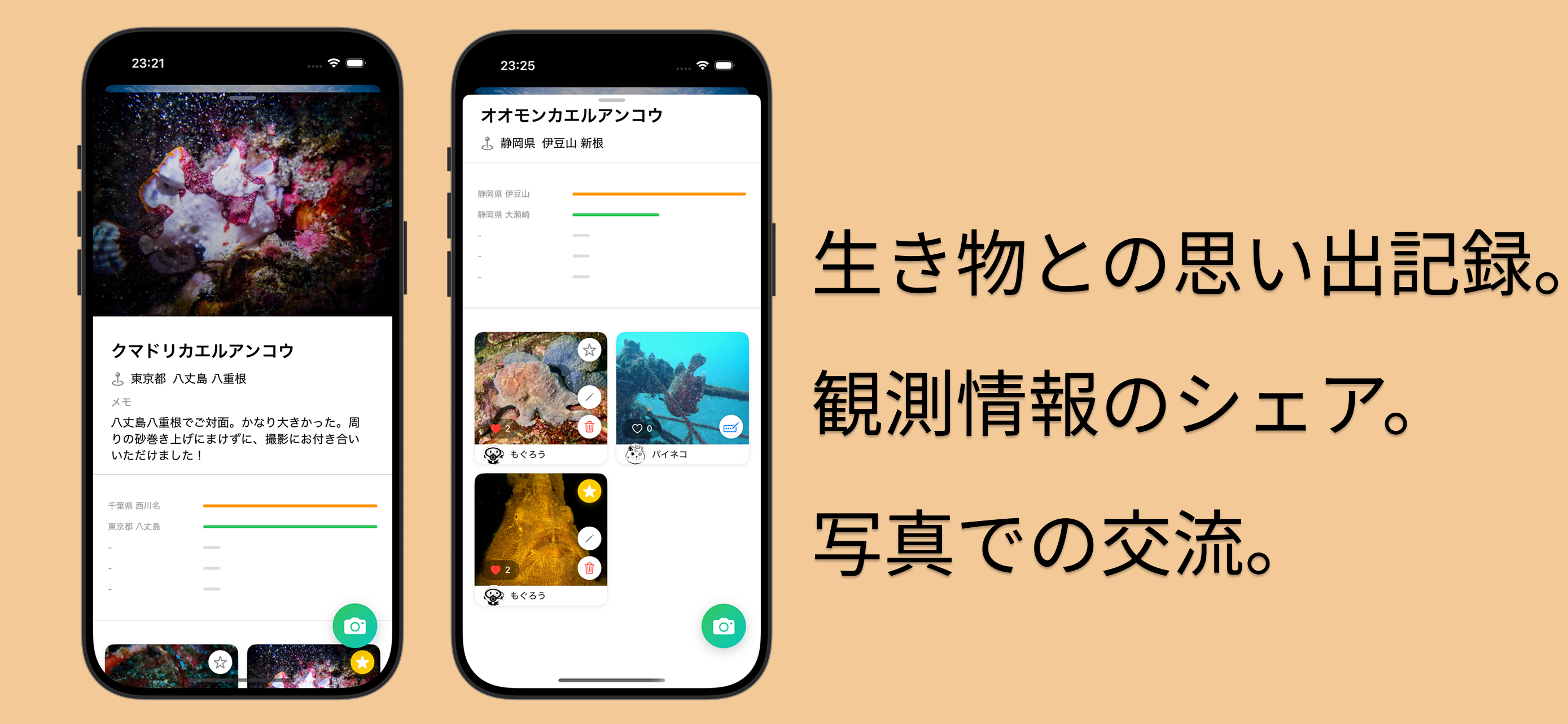 知らない生き物みんなで協力・写真仕分け